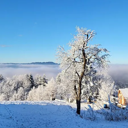 Дом отдыха Glamping Na Vrhu Visnja Gora