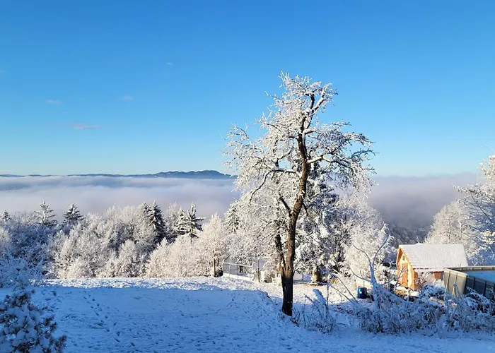 بيت للعطل Glamping Na Vrhu Visnja Gora